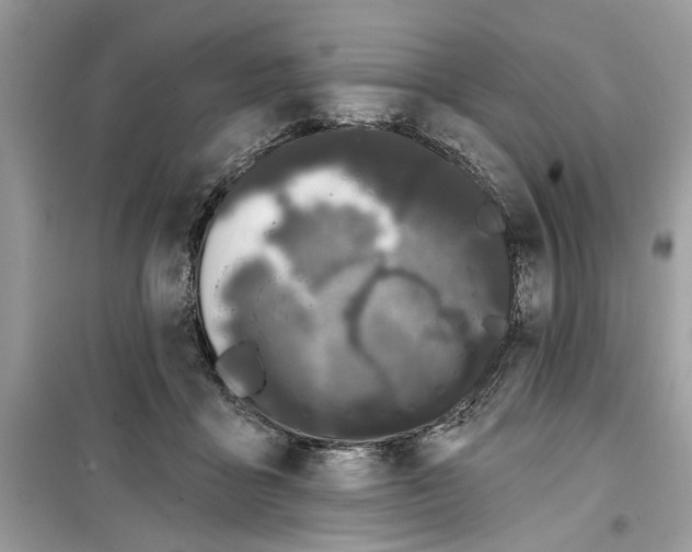 X0000099300411200805231346