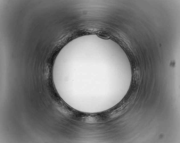 X0000099300412200805231346