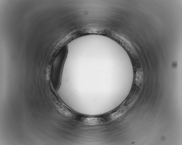 X0000099300413200805231346