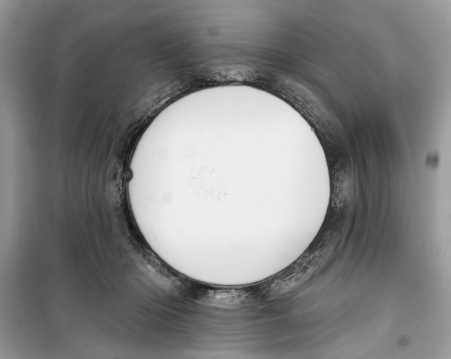 X0000099300414200805231346