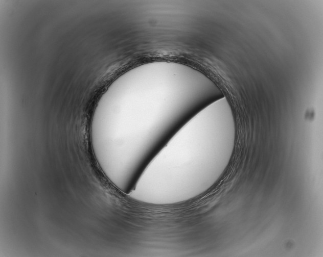 X0000099300415200805231346