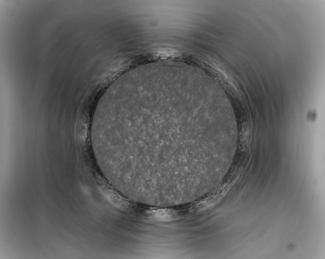 X0000099300417200805231346