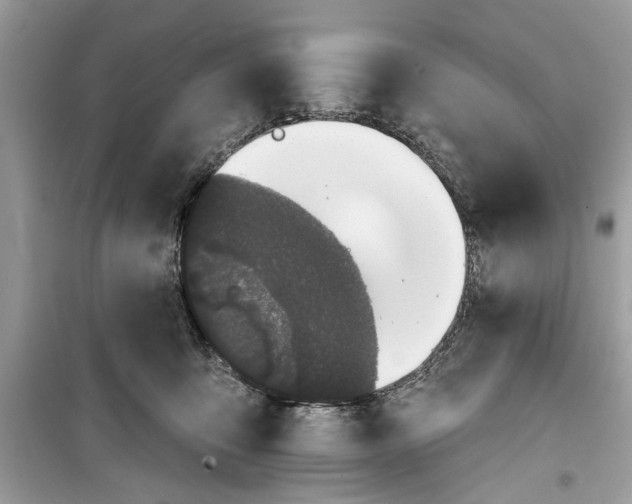 X0000099300419200805231346