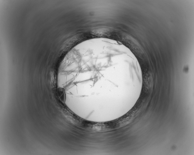 X0000099300420200805231346