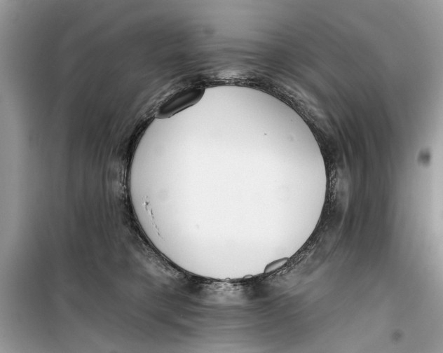 X0000099300421200805231346