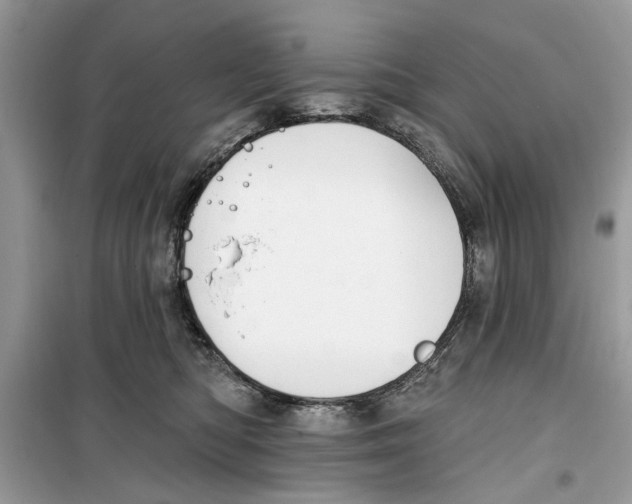 X0000099300422200805231346