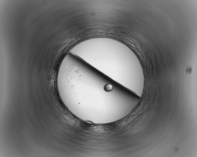 X0000099300423200805231346