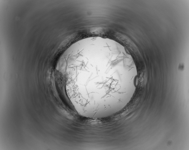 X0000099300424200805231346