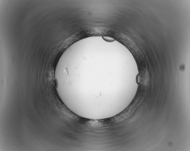 X0000099300425200805231346