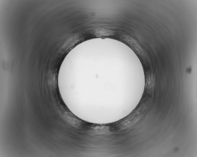 X0000099300426200805231346