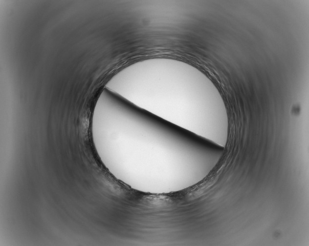 X0000099300427200805231346