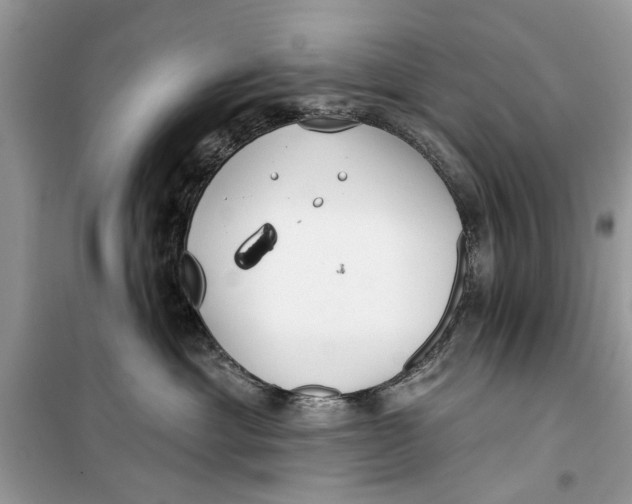 X0000099300429200805231346