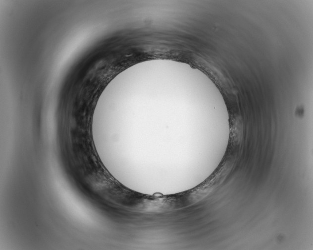 X0000099300430200805231346