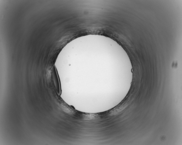 X0000099300432200805231346