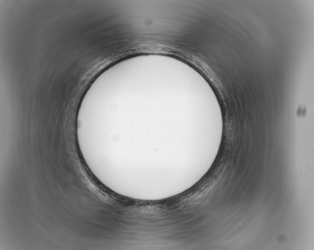 X0000099300433200805231345