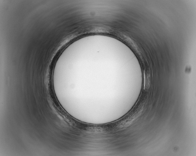 X0000099300435200805231345