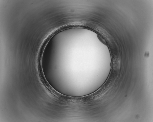 X0000099300436200805231345