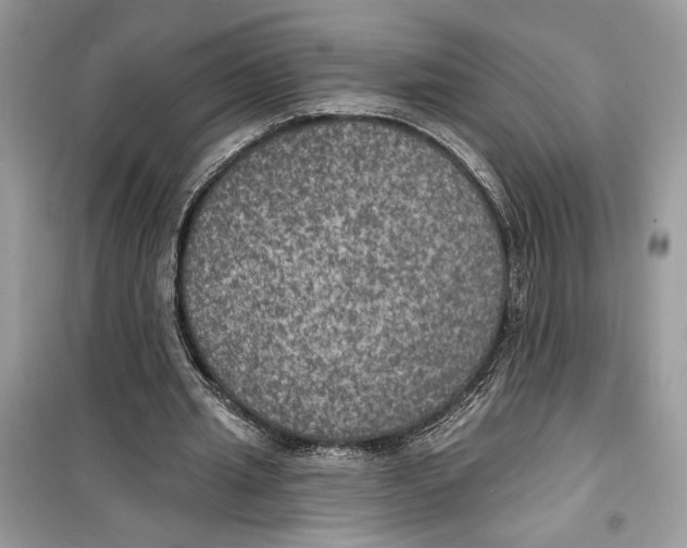 X0000099300437200805231345