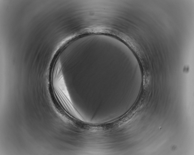 X0000099300438200805231346