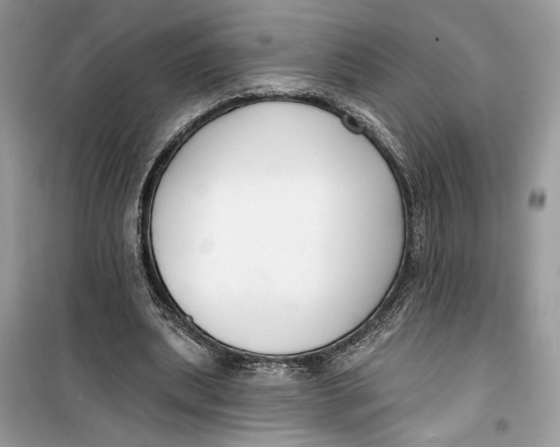 X0000099300439200805231346