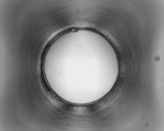 X0000099300440200805231346