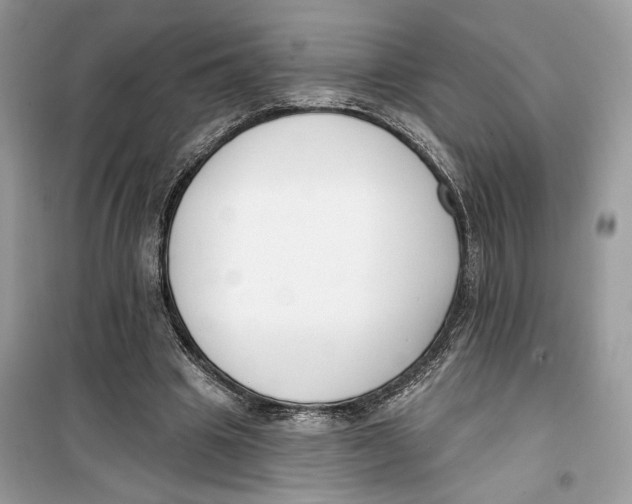 X0000099300441200805231346