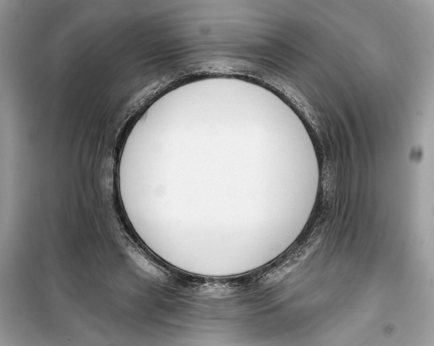 X0000099300445200805231346