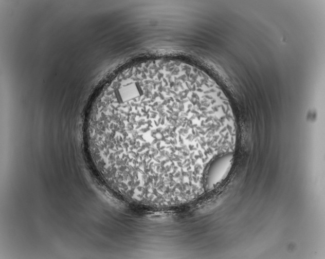 X0000099300447200805231346