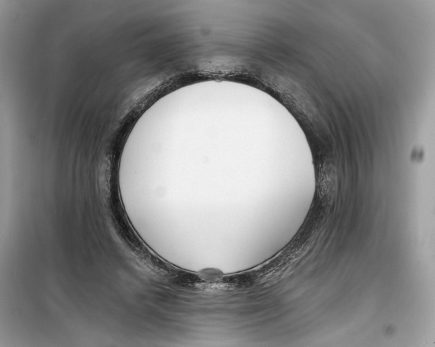 X0000099300448200805231346