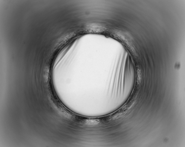 X0000099300451200805231346