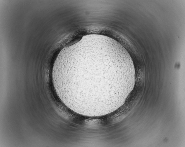 X0000099300452200805231346