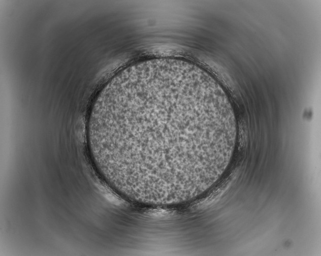 X0000099300453200805231346