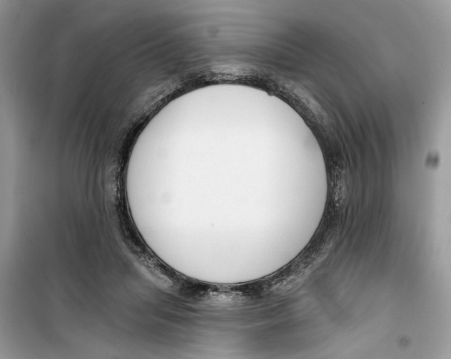 X0000099300455200805231346