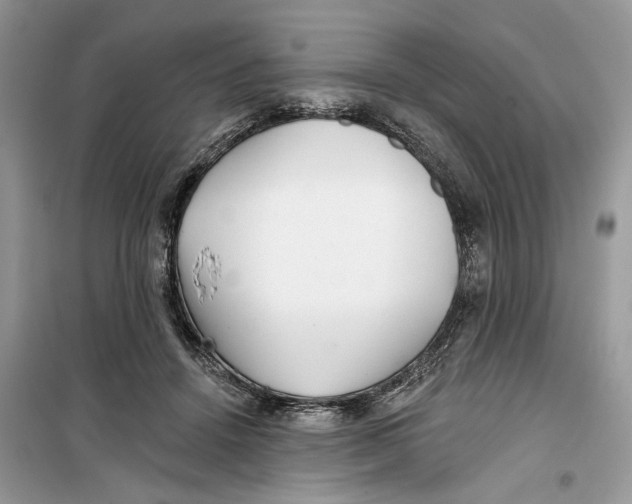 X0000099300456200805231346