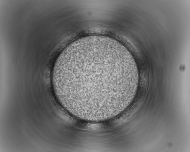 X0000099300457200805231346