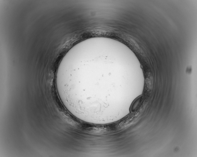 X0000099300458200805231346