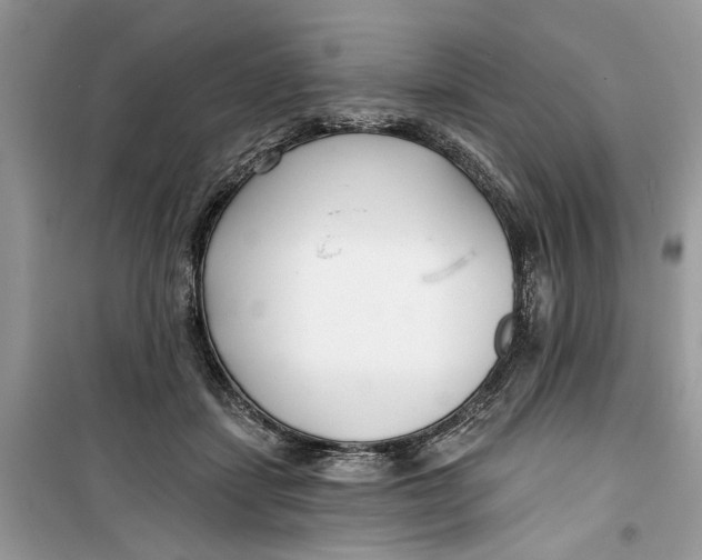 X0000099300459200805231346