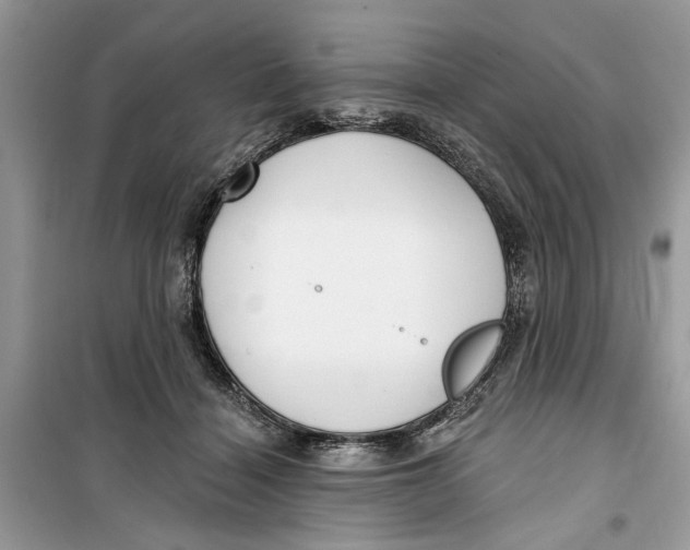 X0000099300460200805231346