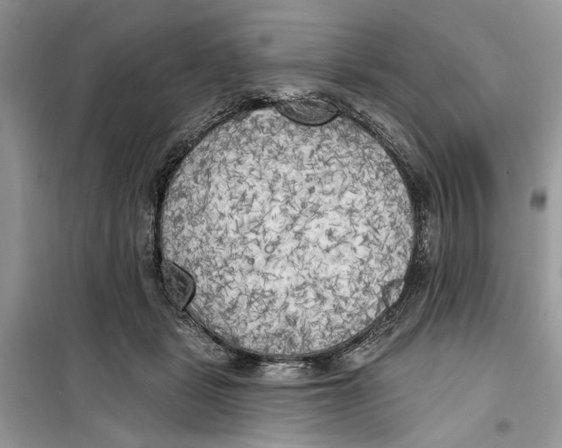 X0000099300461200805231346