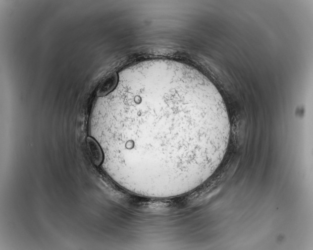 X0000099300462200805231346