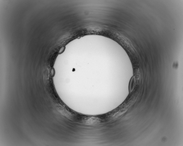 X0000099300463200805231346