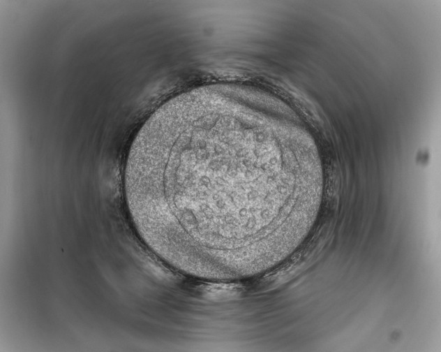 X0000099300465200805231346