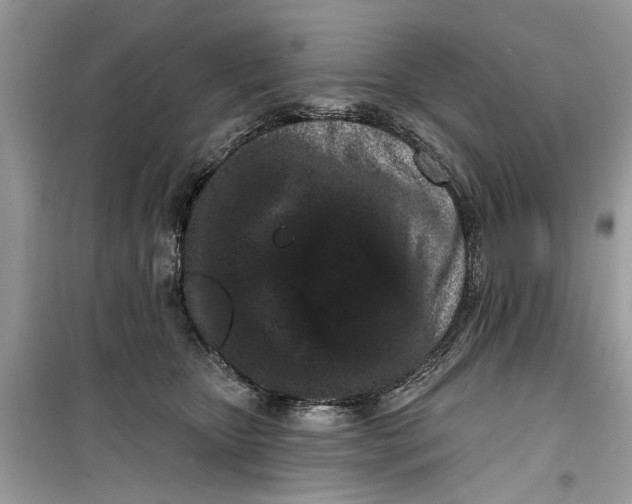 X0000099300467200805231346