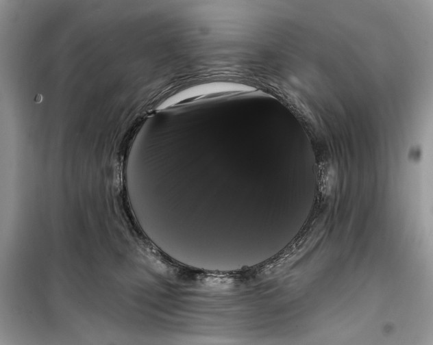 X0000099300471200805231346