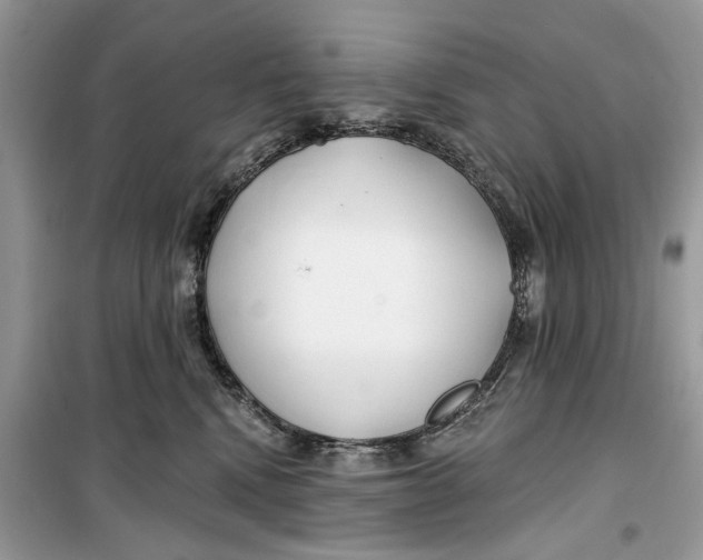 X0000099300472200805231346