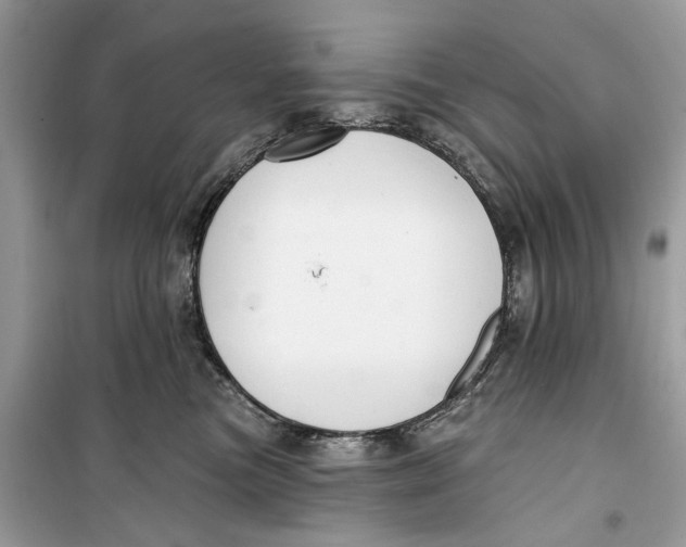 X0000099300473200805231346