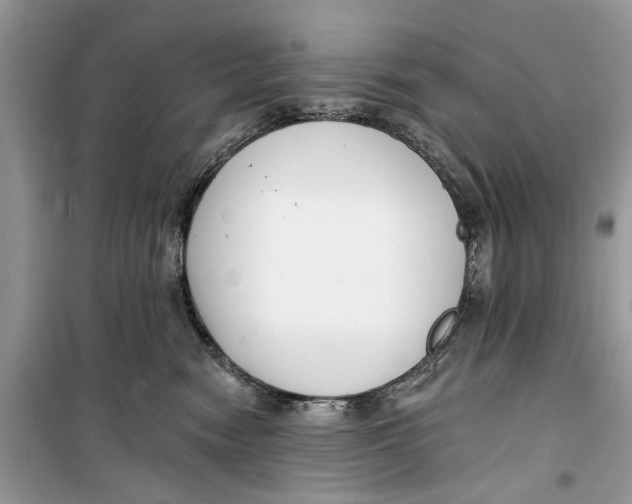 X0000099300474200805231346