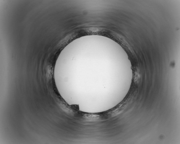 X0000099300476200805231346