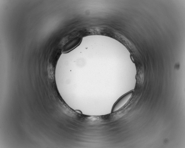 X0000099300477200805231346