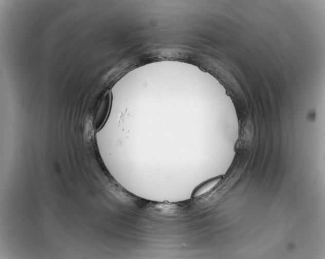 X0000099300478200805231346